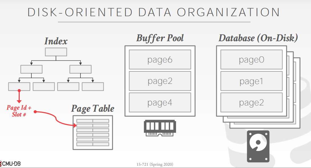 image-20210505021551150