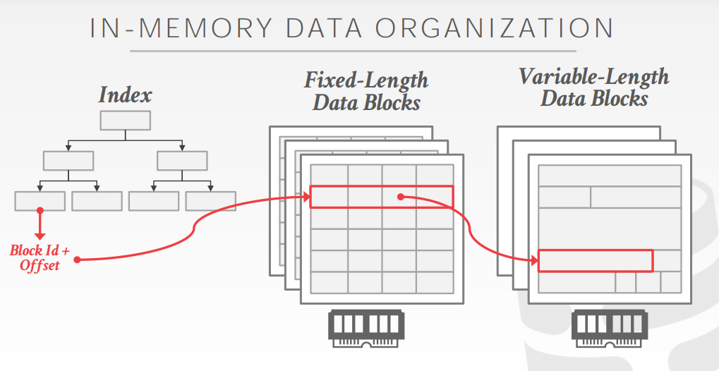 image-20210505021640552