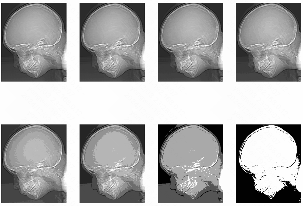 image-20241203232818382