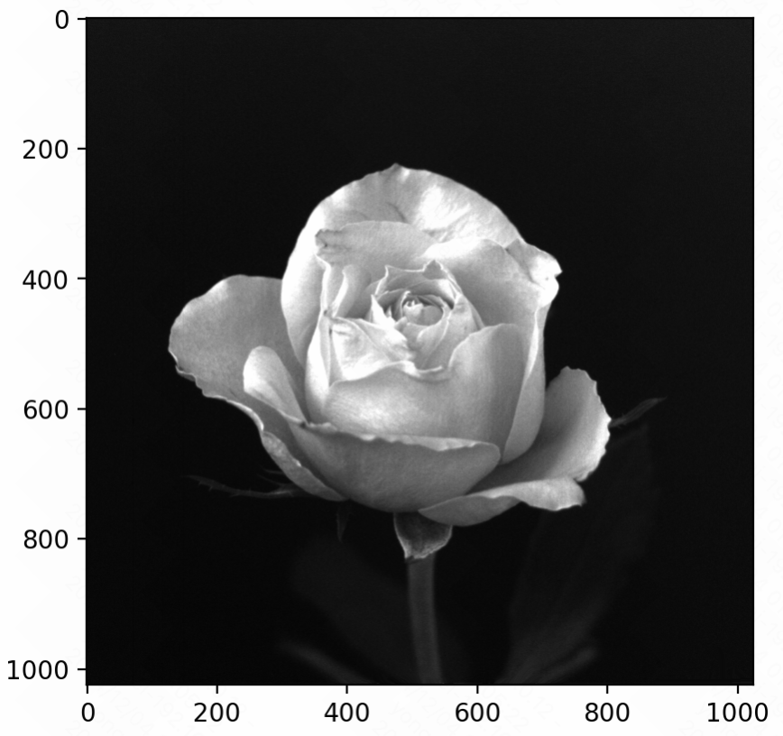 image-20241204010527996