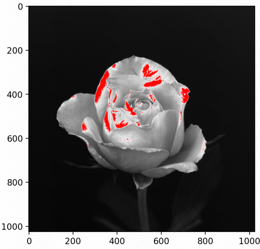 image-20241204010542818