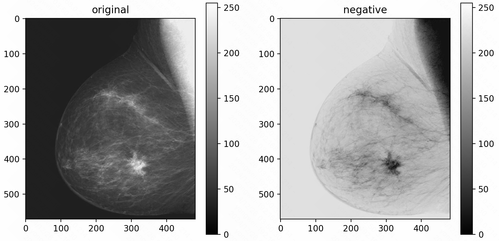 image-20241226035043501