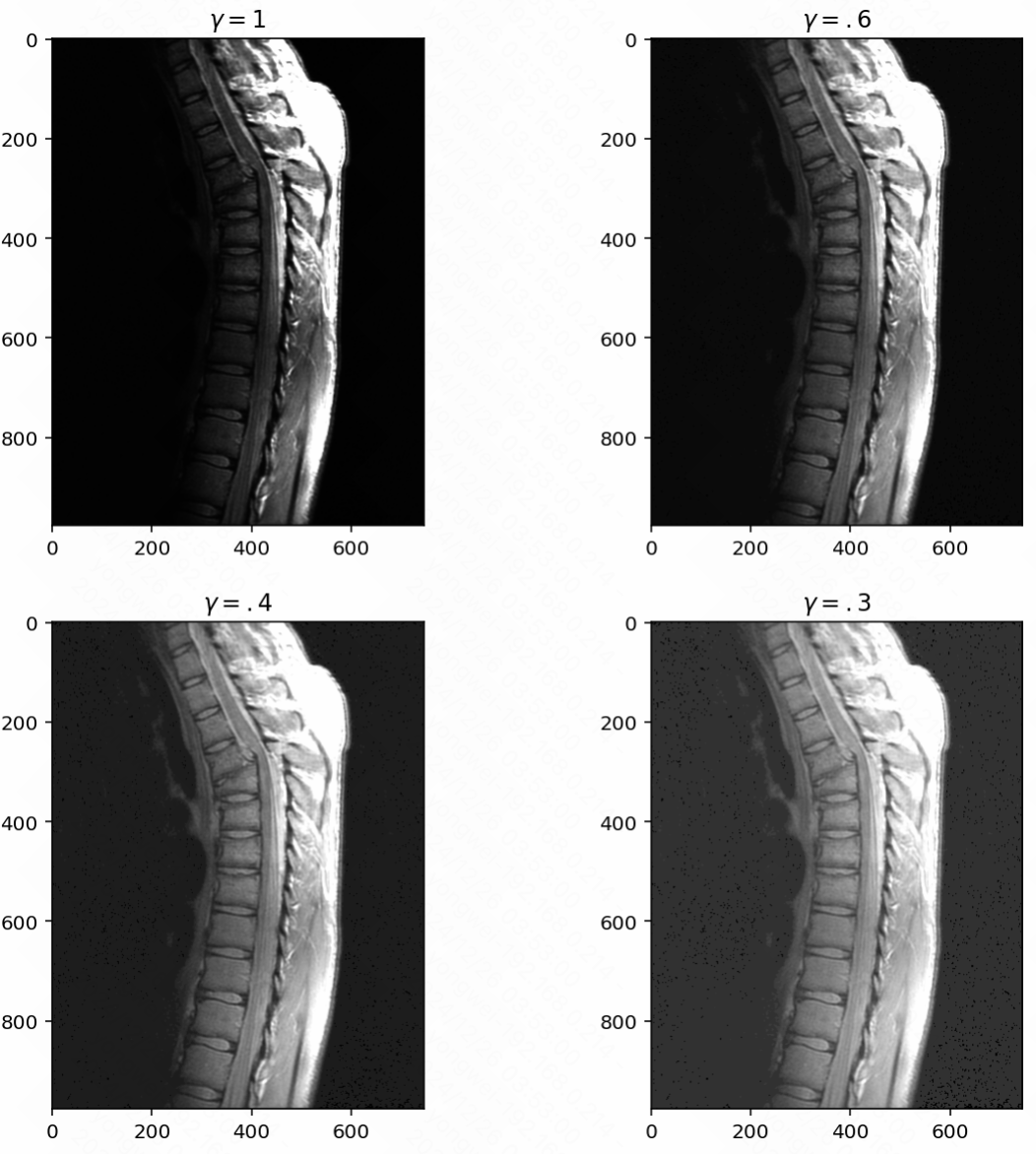 image-20241226035312141