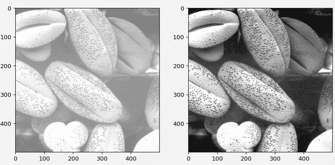 image-20241226035444591