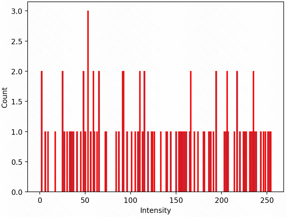 image-20241226040202942